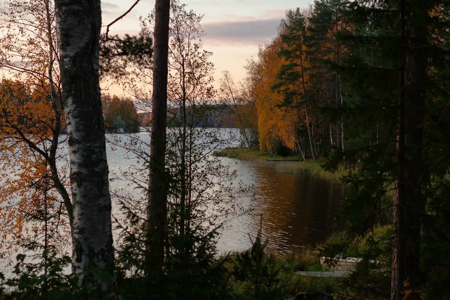 Kansantanssijat harjoittelemassa ryhmässä