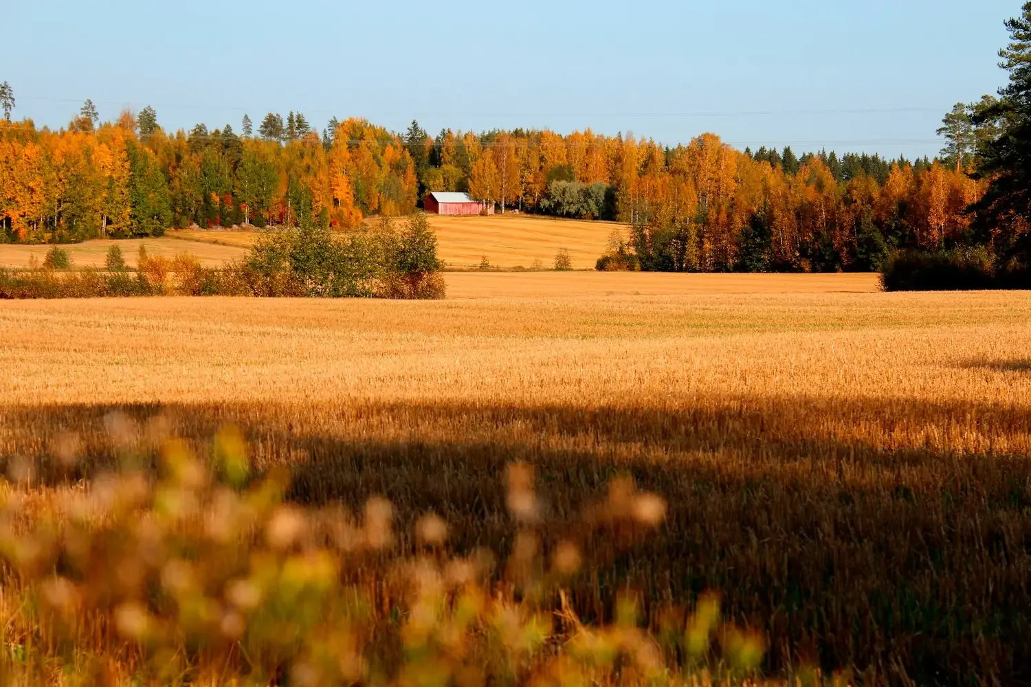 Perinteiseen tanssiin liittyvä tunnelma