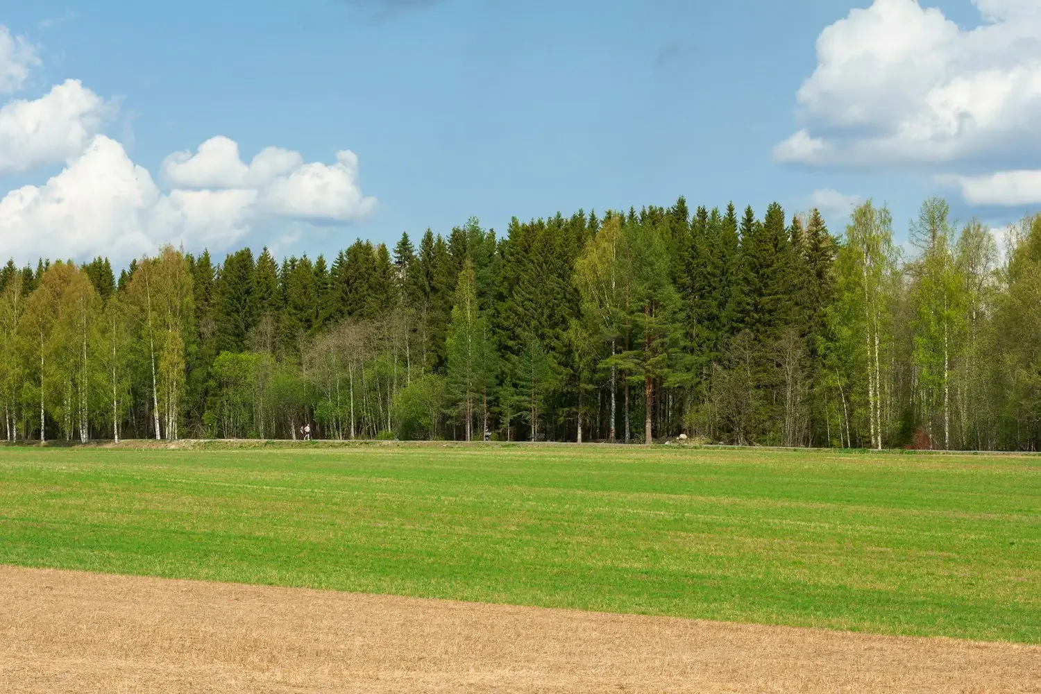 Kansantanssin muodostelman harjoittelua